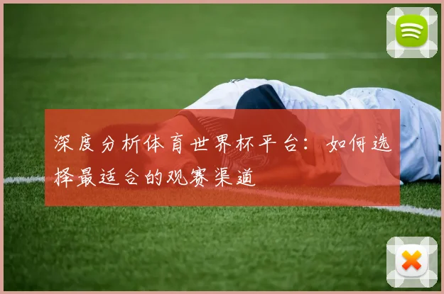 深度分析体育世界杯平台：如何选择最适合的观赛渠道