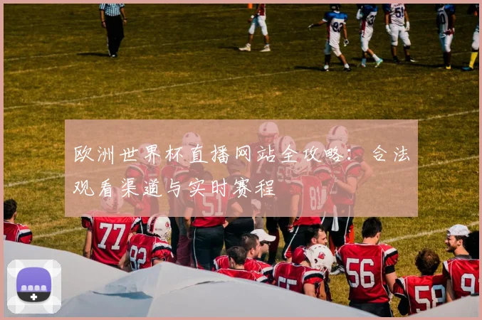 欧洲世界杯直播网站全攻略：合法观看渠道与实时赛程