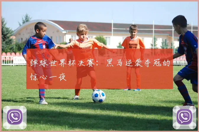 弹球世界杯决赛：黑马逆袭夺冠的惊心一夜