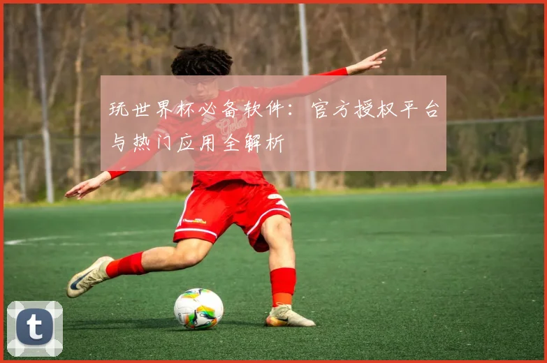 玩世界杯必备软件：官方授权平台与热门应用全解析
