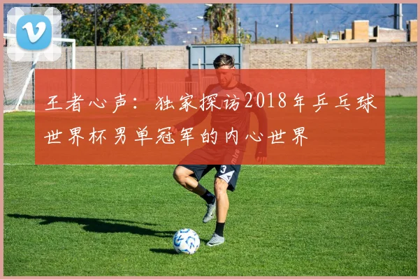 王者心声：独家探访2018年乒乓球世界杯男单冠军的内心世界